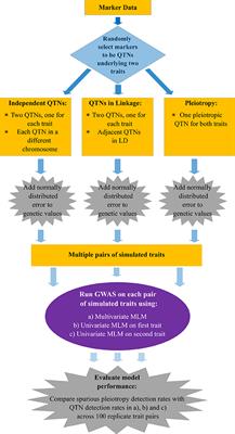 How Well Can Multivariate and Univariate GWAS Distinguish Between True and Spurious Pleiotropy?